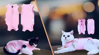 🐱💖 Cat Recovery Suit  | Soft Cone Onesie for Male & Female, Post-Surgery Neuter Protection