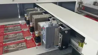 Vorey VD320III roll to roll label die cutter