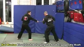 Kali Kuntao | Phase 3 | Einzelstock | Largo Mano | Defanging the Snake