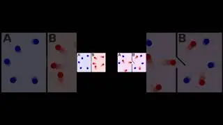 Erwin Schrodinger edit | science edits