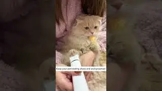 How to Groom Your Pet Like a Pro with This 4-in-1 Trimmer & Clipper!  #cat #catlovers