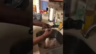 Best Cleaned Chittering in Karen&rsquo;s Kitchen
