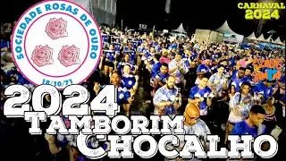 BOSSAS/LEVES Rosas de Ouro 2024 - TAMBORINS E CHOCALHOS DA BCI #BotaOFone #PioneiroNoVídeoDosBreques
