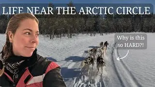 8 Weeks at a Husky Farm in &minus;30 degrees (What Was I Thinking?!)