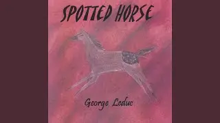 Spotted Horse