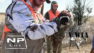 Wounded Warriors In Action Pheasant Hunt | Scheels & NPLife