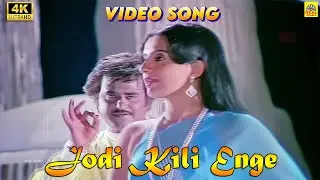 ஜோடி கிளி 4k -Video Song | Rajinikanth | Ambika | S. P. B S. Janaki Love Songs | Ilaiyaraaja
