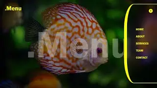 #9 Sidebar Menu in HTML CSS & JavaScript | Sliding Menu