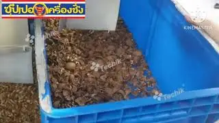 Techik color sorter for walnut shell and kernel sorting More info, please email