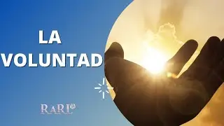¿Cómo cumplir tus sueños?