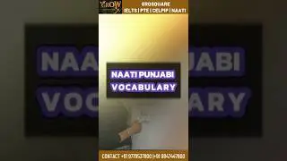 NAATI Punjabi Vocabulary Part 2 | Most Common Words for NAATI CCL Success 💥 #naativocab #learning
