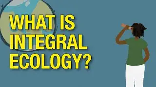 What is Integral Ecology?
