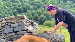 How to cook chicken inside a watermelon in nature in Azerbaijan #outdoorcooking  #watermelonchicken