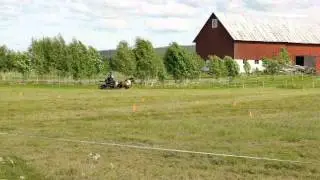 Park&ouml;rning 24 juni