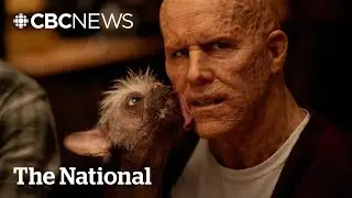 #TheMoment Deadpool's leading dog won top prize at the canine Oscars