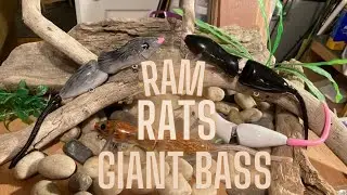 Custom Baits for Big Bass with Bob Messer - Maker of the Ram Rat.