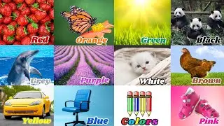 We Love All the Colors! | Red Red Tomatoes Song | Learn Colors & Fun Nursery Rhymes for Children