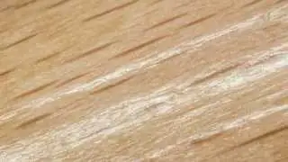 Macro Quiz - #004