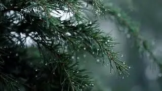 House & Techno Mix Rainy Day Vibes HD&ndash; Rainy Season