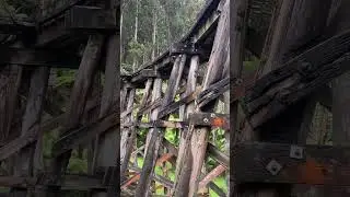 Selby Puffing Billy Bridge