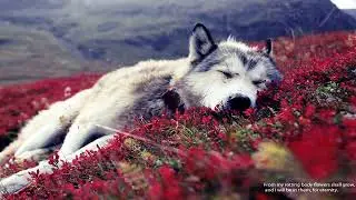 [INFP Music Instrumental] Above & Beyond  - For All I Care
