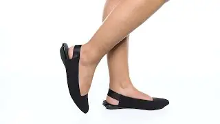 Anne Klein Opal SKU: 9832985