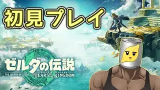【ティアキン】名作完全初見おじさん #33【ゼルダの伝説 Tears Of The Kingdom】