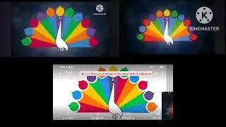 NBC