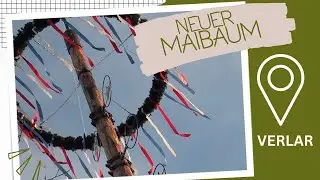 Neuer Maibaum f&uuml;r Verlar