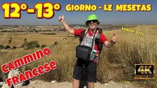 Cammino Francese per Santiago de Compostela-Giorno 12° 13°