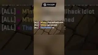 Nice CS2 Wallhack