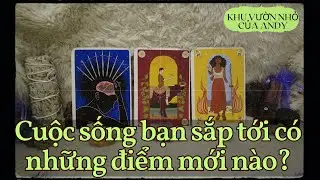 Cuộc sống bạn sắp tới có những điểm gì mới? {Tình yêu/Công việc/Chung} | Chọn 1 tụ bài | Xem Tarot