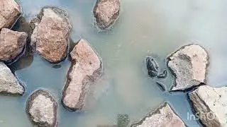 तीन महिनायानातरचे खेकडा पालनाचे अपडेट