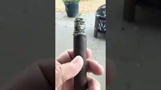 Rocky Patel The Edge Maduro Toro 52 x 6.0 👍
