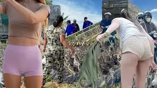 Full Video: The Boat&ndash;Truck Duck System Turning Poor Farmers Into Millionaires