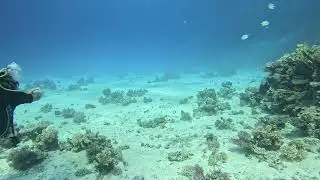 fun diving