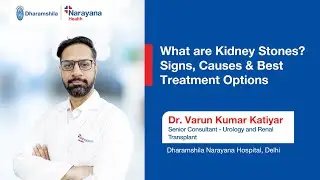 Kidney Stones Explained: Symptoms, Causes and Treatment