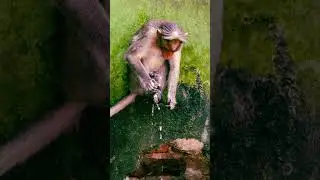 Gunaa Whatsapp status - Kanmani anbodu kadhalan | Monkey Photography | Poster