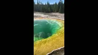 Have you ever seen the Geothermal pools of Yellowstone? 🤯!