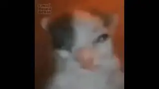 ah me doxean[meme]