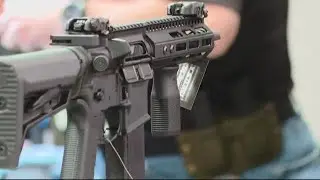 Virginia Democrats could change laws for Second Amendment sanctuary cities