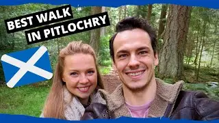 Faskally Woods | Pitlochry
