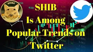 Breaking Crypto News | SHIB Is Among Popular Trends on Twitter, Despite Sell-Off