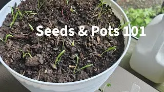 Seeds & Pots 101: Drainage, Sizing & Setup for Indoor + Outdoor Success 🌱🪴