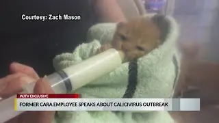 No kill shelter kills 120 cats