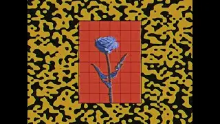 The Convenience - Fake Roses (Official Video)