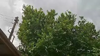 Eita chuvinha abençoada obrigado meu Deus 