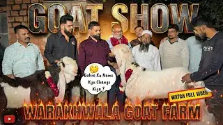 Coming Up🧐Goat Show 🥳|| MP Ka sabse bada goat show Talk with warakhwala goat farm @patirahouse #goat