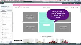 Basel Shopify - How to update theme