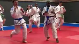 Présentation des cours de Ju Jitsu Fighting System - Arts Martiaux Noisy le Grand